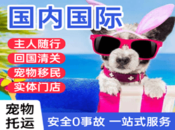 丽江空运公司国际宠物托运 【国